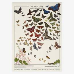 Affiche «Papillons» - 60 x 80 cm