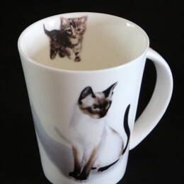 Mug chat et chaton