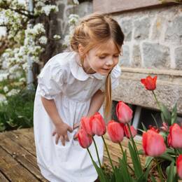 Chemise de nuit manche courte col claudine