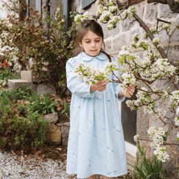 Chemise de nuit manche longue col claudine