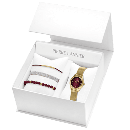 Coffret Femme PYA Doré Cadran Bordeaux Bracelet Acier milanais Doré 12 MM
