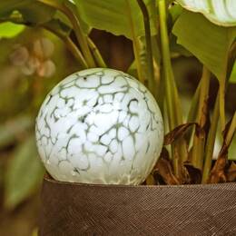Globe d'arrosage en verre pour plante, cristal de Baccarat - Réserve d'eau 1L Blanc