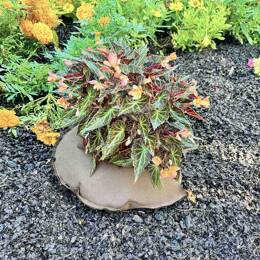 Coussin d'arrosage Tree'Bed L pour massifs et plantes - 1/2 cercle -1,5L