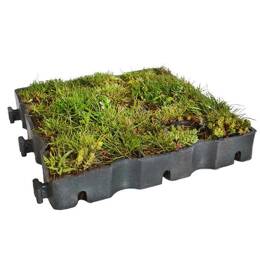 Les autres produits d'aménagement du jardin Made in France