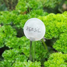 Etiquettes de jardin en verre artisanales - lot de 5