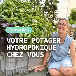 Formation en ligne - L'hydroponie chez soi