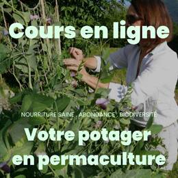 Formation en ligne 40h - Mon potager en permaculture