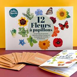 Coffret graines 12 fleurs à papillons