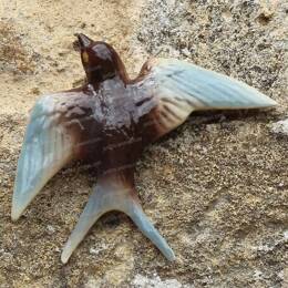 Hirondelle murale en céramique - Ailes grises