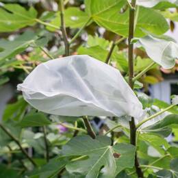 10 housses en filet pour protection des fruits réutilisables