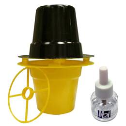 Kit piège Pitfall + attractif contre charançon rouge du palmier - Courte durée