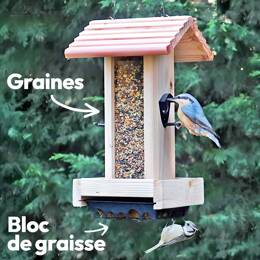 Mangeoire pour oiseaux en bois PEFC - Perchoirs, silo et réservoir à bloc de graisse