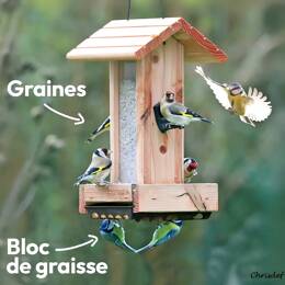 Mangeoire pour oiseaux en bois PEFC - Perchoirs, silo et réservoir à bloc de graisse L.17 x H.35cm