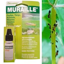 Traitement Muraille antiparasitaire au Siltac - sans pesticide 10ml