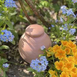 Oyas à planter ou enterrer brut - Réserve d'eau 45cl