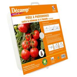 Piège à eau contre la mineuse de la tomate