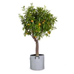 Les pots de fleurs Made in France