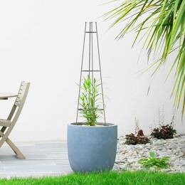 Tuteur colonne - Support pour plante grimpante