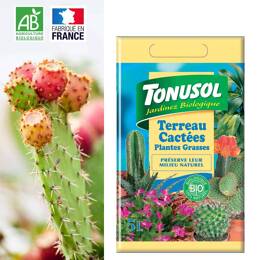 Terreau cactée et plante grasse Bio - 5L