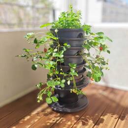 Tour de fraises, jardinière avec lombricomposteur intégré