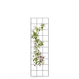 Tuteur treillage rectangle rosier et grimpante - acier - marron - L. 150 x l. 45 cm