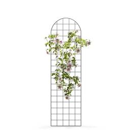 Treillis mural arche - grille pour plante grimpante en acier L.50 x H.180cm