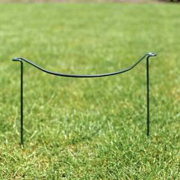Tuteur demi cercle pour plantes vivaces touffues