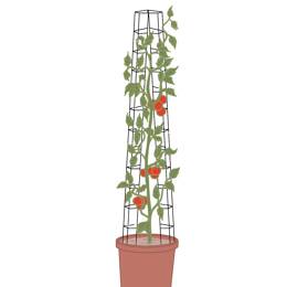 Tuteurs tomate universel - lot de 2