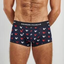 Boxer coqs tricolores