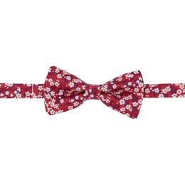 Noeud papillon enfant liberty Mitsi valeria rouge (Dimensions: Bébé : 0 - 1 ans)
