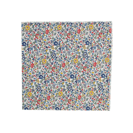 Pochette de costume Katie and Millie multicolore