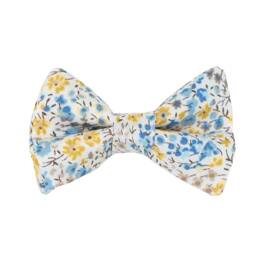Barrettes liberty Phoebe chebika