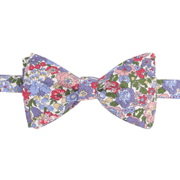 Nœud papillon Liberty Nell Violet