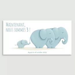 Faire-part Famille Éléphants