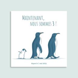 Faire-part Famille Manchots (C)