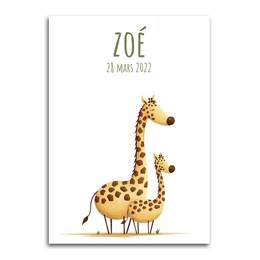Affiche Girafe et Girafon - Fond Blanc