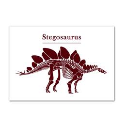 Affiche Stegosaurus