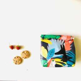 Lunch-bag jungle toucan