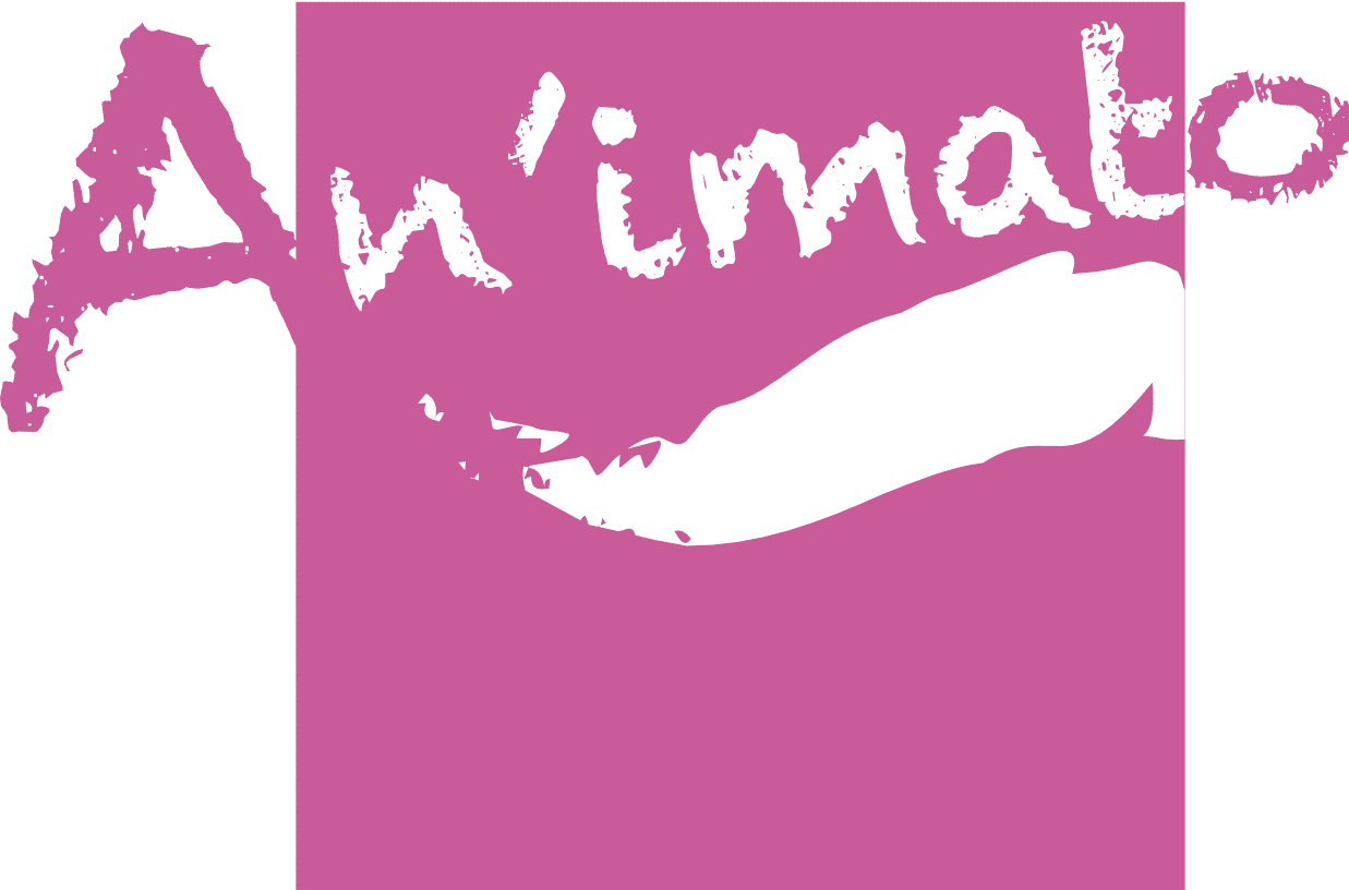 Logo de la marque An’imato fabricant de jeux et coloriage DIY fabriqués en France.