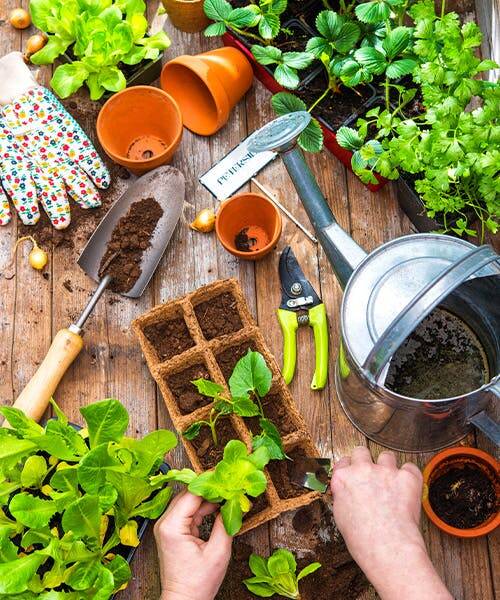 Mains d'une femme en train de semer dans son potager fabriqué en France par Jardins Animés.