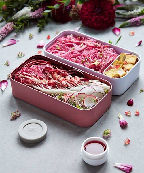 Boîte de conservation bento rose