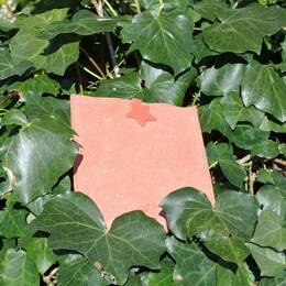 Mini Etui à Tablette