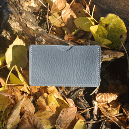 Etui à Cartes Simple