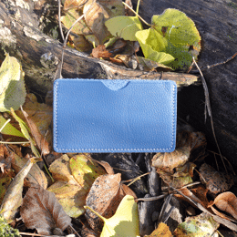 Etui à Cartes Simple