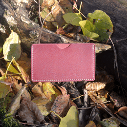 Etui à Cartes Simple