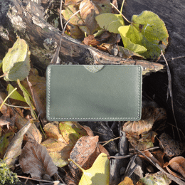 Etui à Cartes Simple