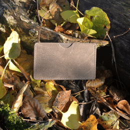 Etui à Cartes Simple