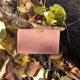 Etui à Cartes Simple