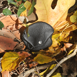 Porte Monnaie Crapaud