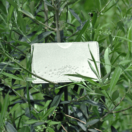 Étui Simple à Cartes